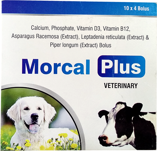 Morcal Plus